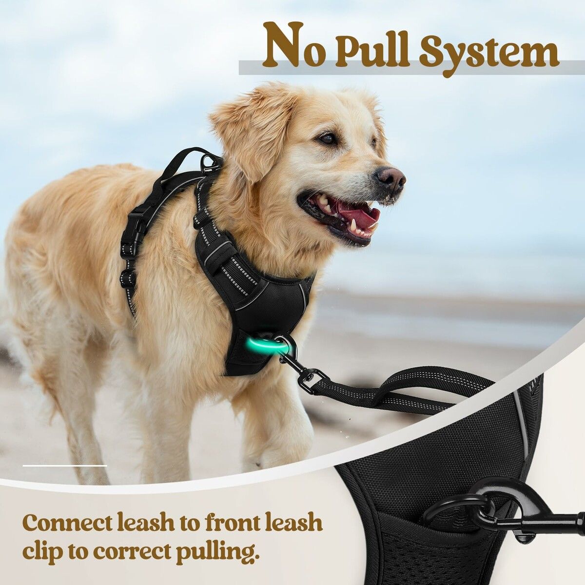 https://img.crazysales.com.au/products_pictures/366/366806_3289107_F.jpg