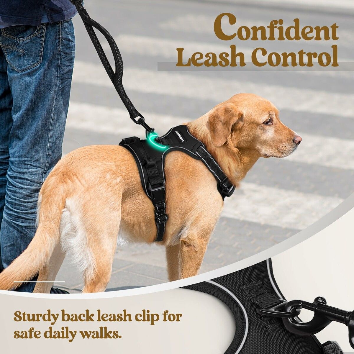 https://img.crazysales.com.au/products_pictures/366/366807_3289112_F.jpg