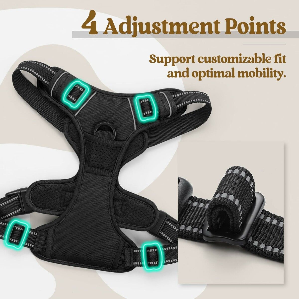 https://img.crazysales.com.au/products_pictures/366/366808_3289123_F.jpg