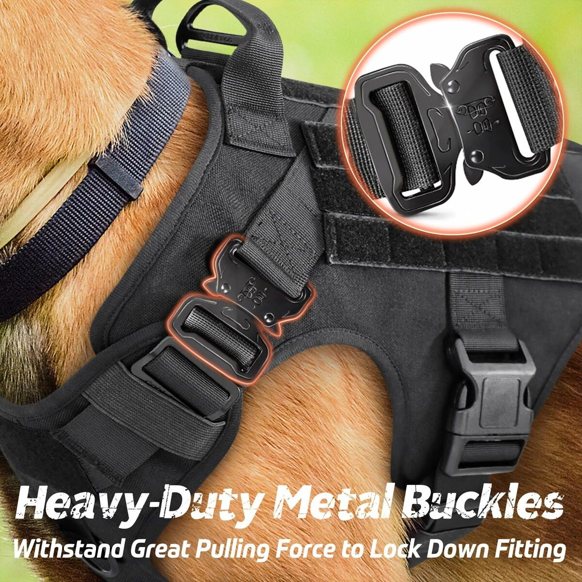 https://img.crazysales.com.au/products_pictures/366/366809_3289126_F.jpg