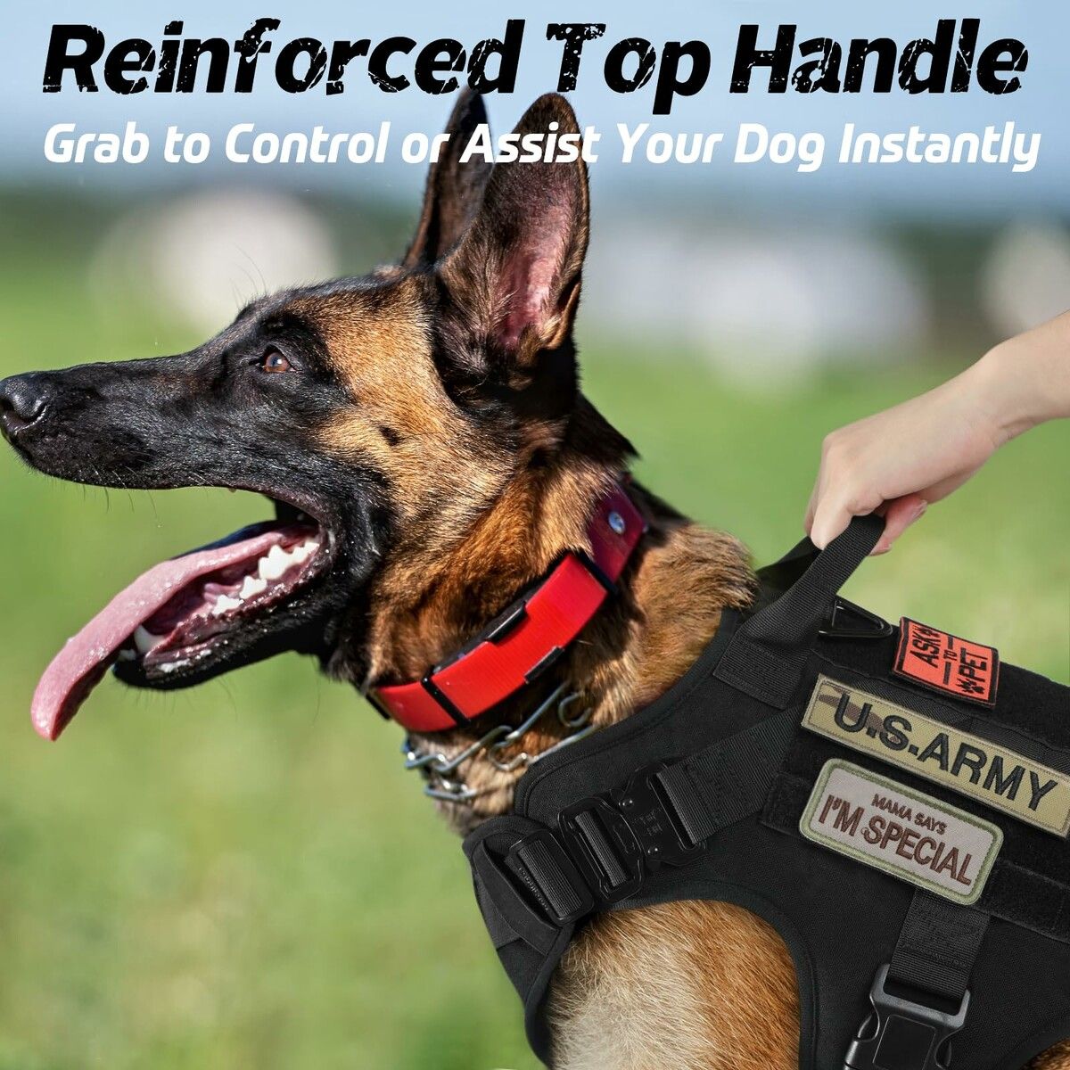 https://img.crazysales.com.au/products_pictures/366/366809_3289127_F.jpg