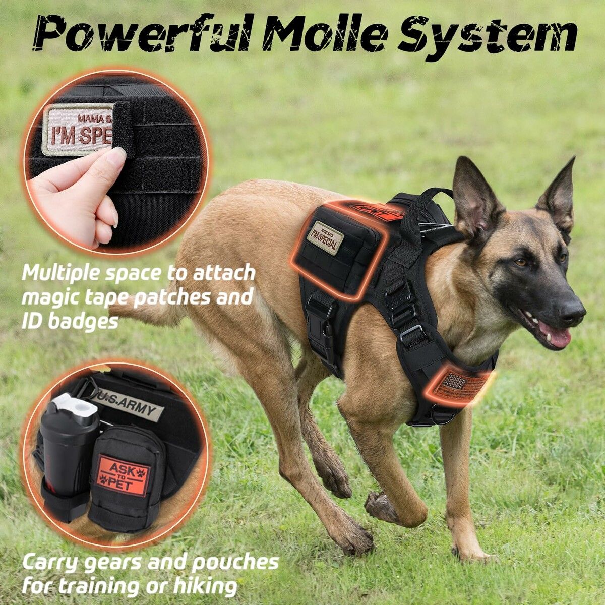https://img.crazysales.com.au/products_pictures/366/366809_3289129_F.jpg