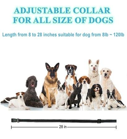 https://img.crazysales.com.au/products_pictures/366/366869_3289746_F.jpg