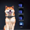 Dog Shock Collar Rechargeable Electric Dog Training Collar with Remote Beep,Vibration and Shock Modes for 2 Medium Large Dogs