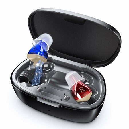 Hearing Aids for Seniors, Hearing Aid Rechargeable for Hearing Loss, Personal Hearing Amplifier with Volume Control and Portable Charging Case