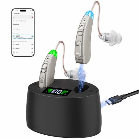 Hearing Aids for Seniors Hearing Loss, Rechargeable with Display of Remaining Charge, Devices with Noise Reduction,Silver