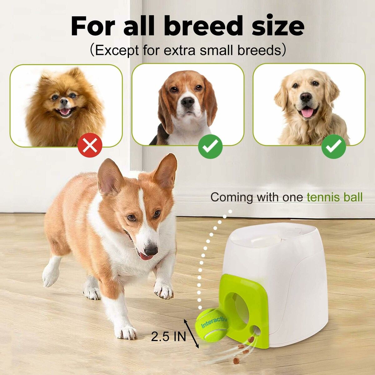 https://img.crazysales.com.au/products_pictures/366/366878_3289865_F.jpg