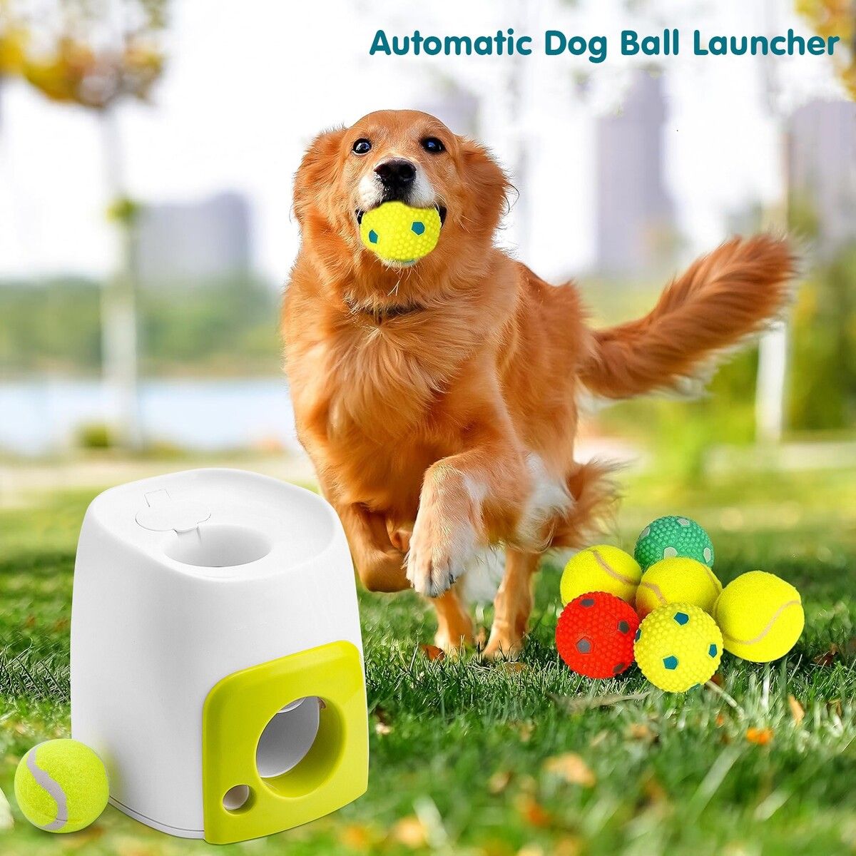 https://img.crazysales.com.au/products_pictures/366/366878_3289867_F.jpg