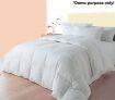 90% Duck Down King Size Quilt + Two 5% Duck Down Pillows - DD240_K