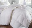 90% Duck Down King Size Quilt + Two 5% Duck Down Pillows - DD240_K