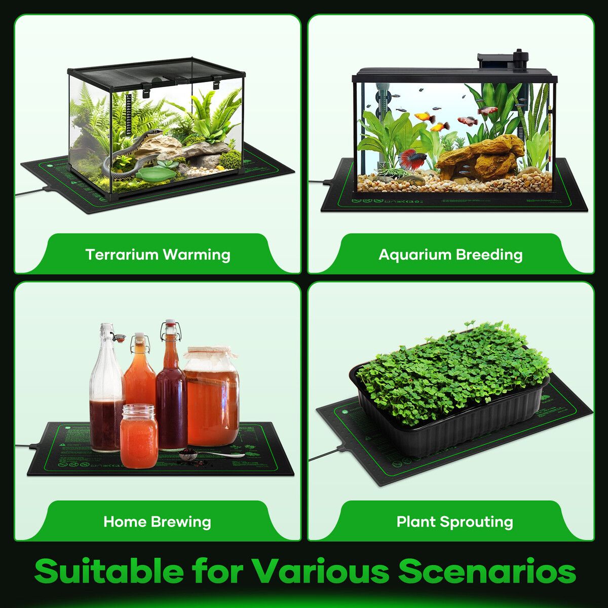 https://img.crazysales.com.au/products_pictures/366/366952_3290688_F.jpg
