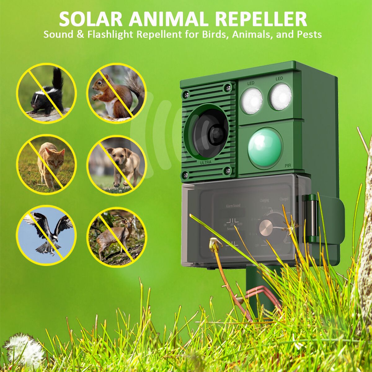 https://img.crazysales.com.au/products_pictures/366/366958_3290774_F.jpg