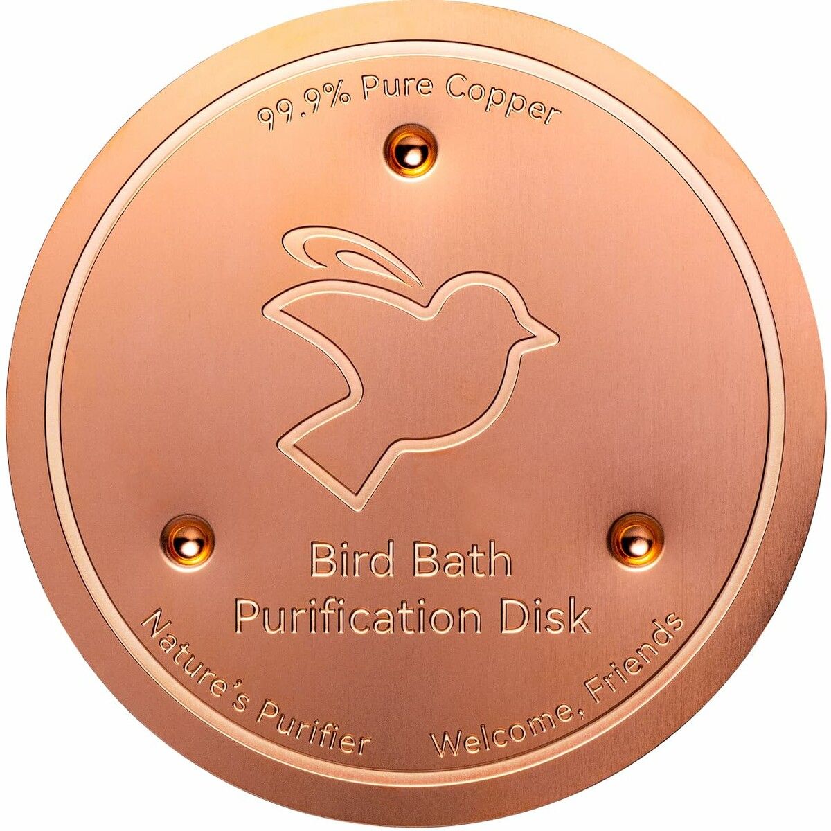 Bird Bath Copper Disk,0.6mm Reinforced 99.99% Pure Copper Cleaning Disk with Triple-Point Support for Physical Safe Clean Water All-Season
