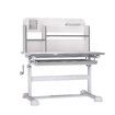 Kids Desk and Chair Set Ergonomic Children Study Writing Table Height Adjustable Stationery Storage Book Shelf Drawer School Student Drawing Learning