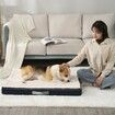 Size XL 90*70*10CM Memory Foam Dog Bed Washable Dog Beds Orthopedic Waterproof Large Dog Bed with Washable Removable Cover