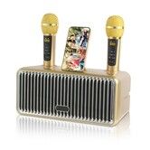 Portable Bluetooth Speaker with 2 UHF Wireless Microphones Karaoke Speakers with Phone Holder,PA System with LED Lights for Home Parties,Picnic-Gold