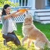 6 Pcs Large Screaming Chicken Dog Toys, Yellow Rubber Chicken 12 inch,Squeeze Squeaky and Screaming Chicken, Prank Novelty Toy for Boys Girls or Men Women