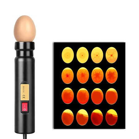 Egg Candler, LED Egg Hatching Test Light, High Intensity LED Chicken Egg Candler Mini Egg Tester Pen for Science Experiment