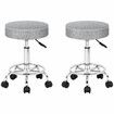 ALFORDSON 2x Salon Stool Round Swivel Barber Hair Dress Chair Light Grey Fabric