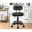 ALFORDSON 2x Salon Stool Backrest Swivel Barber Hair Dress Chair Riley All Black