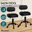 ALFORDSON 2x Salon Stool Backrest Swivel Barber Hair Dress Chair Lina All Black
