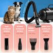Dog Hair Dryer Vacuum Pet Cat Grooming Kit 4 Nozzles Hairdryer Blower Adjustable Blow Speed Temp Control Negative Ion Blaster Heater Low Noise 2200W