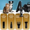 Dog Cat Hair Dryer Pet Grooming Kit Blow Hairdryer Blower Heater Air Blaster 2200W Low Noise Adjustable Speed Temperature Negative Ion Wind 4 Nozzles