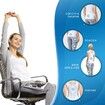 Seat Cushion and Lumbar Support Pillow for Office Chair,Memory Foam Car Seat Cushions Back Support Pillows of Back,Tailbone and Sciatic