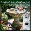 2Pcs Bird Bath Copper Disk, 99.9% Pure Copper with 3 Point Support Design Enhances Water Purity for Outdoor Bird Baths and Bowls