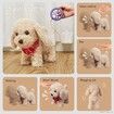 Remote Control Electronic Plush Puppy Dog Toy, Fun Interactive Toys, Walks, Barks, Shake Tail, Gift for Girls Boys Age 3 to 6 Year Old