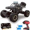 RC Cars Remote Control Car 1:12 Off Road Monster Truck,Metal Shell 4WD Dual Motors LED Headlight Rock Crawler,2 Batteries,Black
