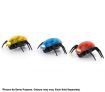 Gadget King Remote Control RC Bug Toy