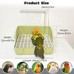 Automatic Parakeet Bird Bath with Pump, Large Bird Shower Fountain Indoor Bathtub with Running Water, Parrot Bath Tub Faucet for Pet Birds, Green