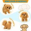 Plush Golden Retriever Toy Puppy Electronic Interactive Dog - Walking,Barking,Tail Wagging,Stretching Companion Animal
