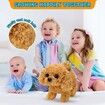 Plush Golden Retriever Toy Puppy Electronic Interactive Dog - Walking,Barking,Tail Wagging,Stretching Companion Animal