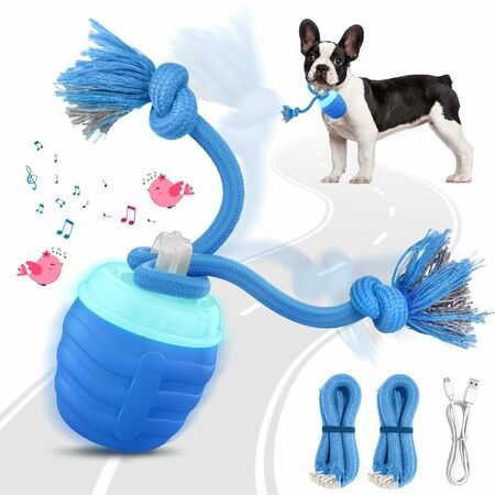 Interactive Dog Toys 2026 Upgraded Motion Activated Balls,Automatic Moving Dogs Toy Wicked Ball for Boredom,Interactive Dog Ball to Keep Them Busy (Blue)