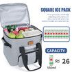 Freshness Ice Pack Lunch Bag,Large Capacity Multi-Pocket Portable Handbag,Cooler Bag for Outdoor Picnic,Camping,Food Delivery,Back to School Grey