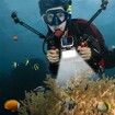 Underwater Lights Dive Light 84 LED High Power Dimmable Waterproof LED Video Light Waterproof 50M for Gopro Canon Nikon Pentax Panasonic Sony Samsung