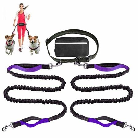 Retractable Hands Free Dog Lead with Dual Bungees for 2 Dogs, Adjustable Belt Belt Bag for Running Walking Hiking Jogging Biking Color Purple