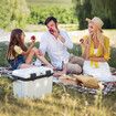 15L Hard Ice Cooler Box Chest Portable Insulated Lunch Coolbox Container Home Travel Caravan Camping Picnic Fishing Hot Cold Food Drinks with Handle