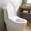 Non Electric Bidet Toilet Seat WaterMark Certified D Shape Dual Nozzle Manual Wash Soft Close Lid Freshwater Sprayer Easy Installation Hygieia