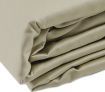 Renee Taylor Luxury Queen Bed Size Fitted & Flat Sheet / Pillowcase Set - Sage Green 600TC 100% Egyptian Cotton
