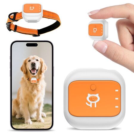 4G Pet GPS Tracker With Real-Time Positioning,Long Standby Geofence Alerts Multi-Band Waterproof Locator For Dogs Outdoor Pets Size L