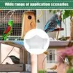 Window Bird Feeders,Window Parrot Feeder Clear Visibility Bird House Nest for Sparrow Parakeet Budgies Conures Cockatiels