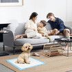 Dog Puppy Potty Training Pee Pads 120Pcs Disposable Mats Indoor Housebreaking Cat Toilet 60x60cm 7 Layer Super Absorbent Quick Dry for Pets Under 30KG