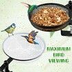 Adjustable Deck Bird Feeder Bird Bath,2-in-1 Balcony Railing Bird Feeder Tray with Water Bowl & Mesh Tray,Detachable Mounted Bird Station,Rustproof