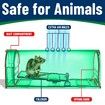 2-Pack Humane Mouse Traps,No Kill Catch and Release Rodent Trap,Pet Child Safe Indoor Outdoor Catcher for Mice,Rats Voles,Reusable with Brush Size S