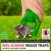 2-Pack Humane Mouse Traps,No Kill Catch and Release Rodent Trap,Pet Child Safe Indoor Outdoor Catcher for Mice,Rats Voles,Reusable with Brush Size S
