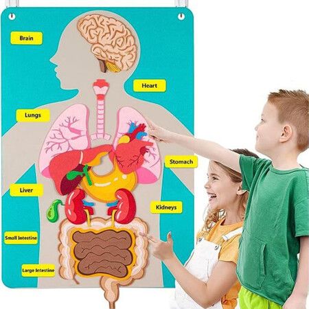 77x51cm Teaching Body Parts Felt Board Stories for Toddlers Arts Crafts Toys Kids Sensory Activities Teacher Daycare Supplies