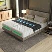 Bed Bridge Twin To King Converter Kit,Bed Gap Eliminator & Split King Filler,Mattress Connector With Adjustable Anti-Slip Strap For King & Queen Black